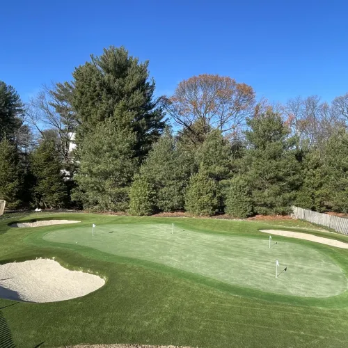 a golf course with trees