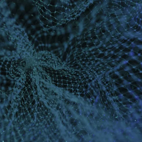 a close up of a spider web