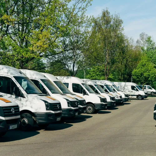 Row of white delivery vans parked along a tree-lined road under a clear sky during daytime