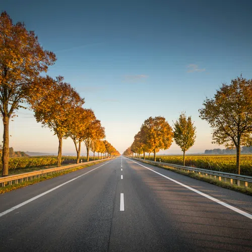 Empty highway lined with autumn-colored trees under a clear blue sky, stretching into the horizon.