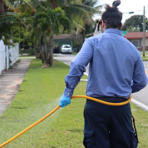 Pest control technician in blue uniform spraying outside a house lawn with safety gloves and goggles.