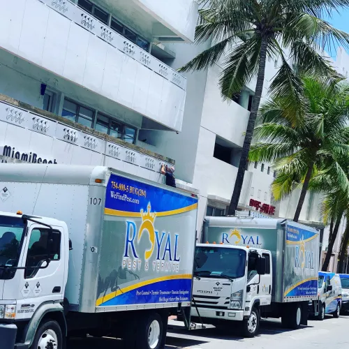 Two Royal Pest & Termite trucks parked outside a white building with palm trees on a sunny day