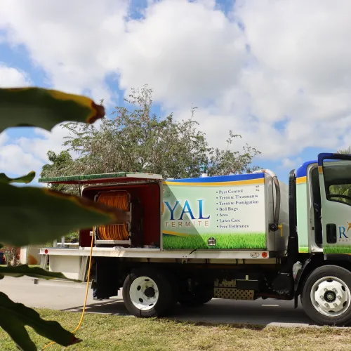 Royal Termite pest control service truck parked on a residential street with equipment and clear blue sky.