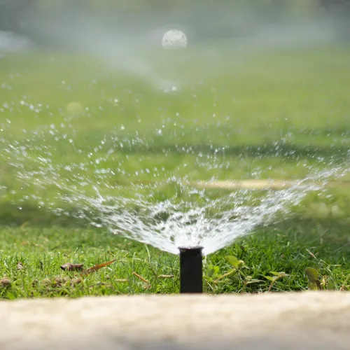 Close-up of a sprinkler watering a green lawn with water droplets spraying in a circular pattern.
