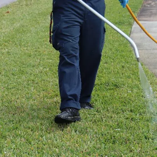 Person wearing dark pants spraying herbicide on lawn next to sidewalk for weed control.