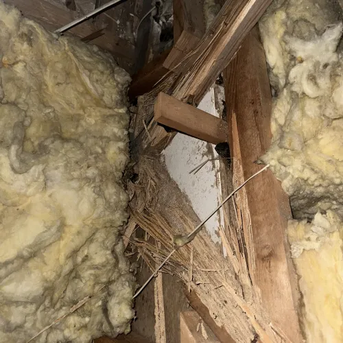 Damaged wooden beams with yellow insulation in an attic showing signs of decay and splintering wood.