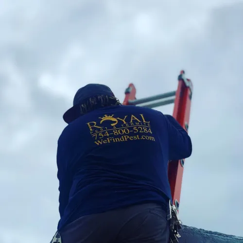 Technician wearing Royal Pest & Termite shirt climbing a red ladder against a cloudy sky background.