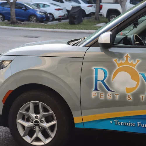 Silver Kia SUV with Royal Pest & Termite service advertisement parked in a lot with other cars in the background