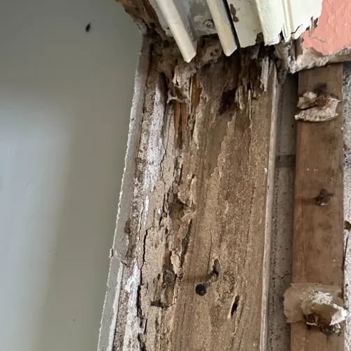 Close-up of severely rotted wooden door frame with peeling paint and damaged trim near a wall
