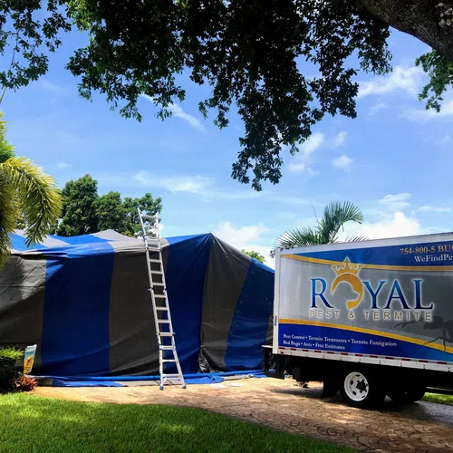 Royal Pest & Termite truck parked near a tent-covered house with a ladder under blue sky and palm trees.