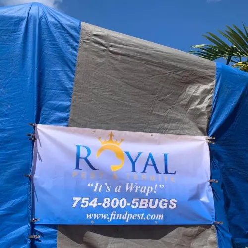 Royal Pest & Termite banner on a wrapped structure with phone number and website under clear blue sky.