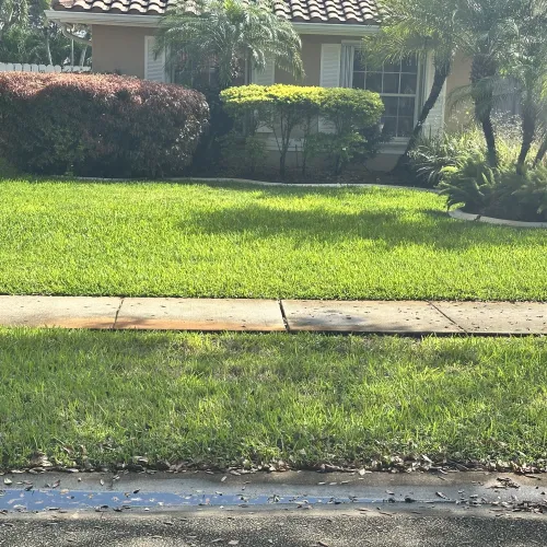 Green front yard with neatly trimmed bushes and a palm tree in front of a beige house with tiled roof