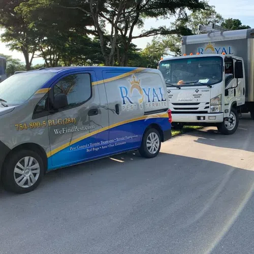 Royal Pest Termite branded van and truck parked on a sunny suburban street under trees.