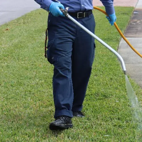 Person wearing blue gloves using a pressure washer to clean a grassy lawn near a sidewalk and street.