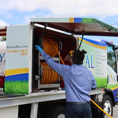 Pest control worker in blue shirt handling hose from Royal Pest & Termite truck on street under blue sky.