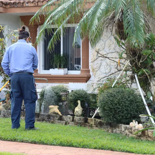 Gardener watering plants in a residential garden with shrubs and decorative stone sculptures during daytime