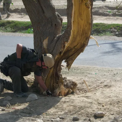 Soldier inspecting the base of a damaged tree near a road, wearing tactical gear and helmet.