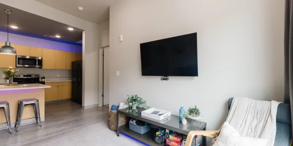 Image of Large Roku TV