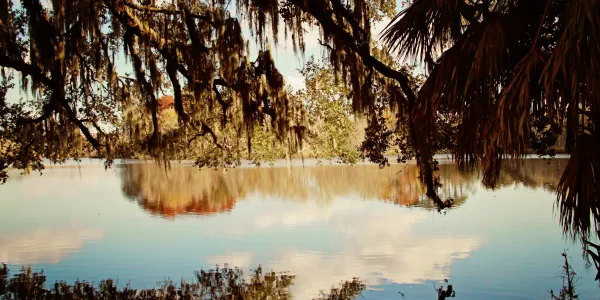 Image of Gainesville