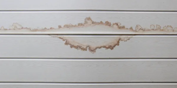 Image of CEILING SPOTS