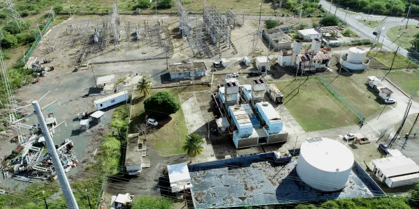 Image of Jobos