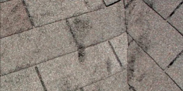 Image of FOOTFALL