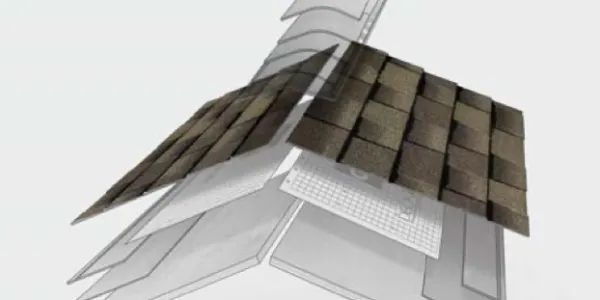 Image of 3. SHINGLES
