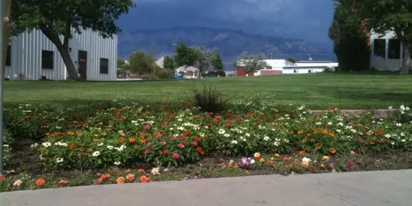 Image of Skate Park Landscaping Services