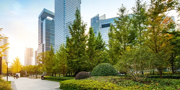 Image of Landscaping Services