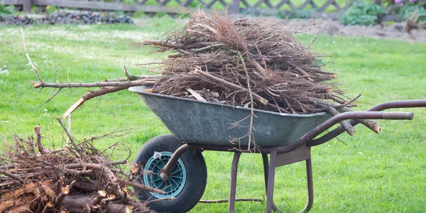 Image of Debris Removal