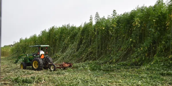 Image of Hemp Processing Facility and Greenhouse