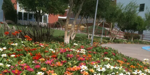 Image of Grounds Keeping Services