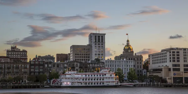 Image of Savannah