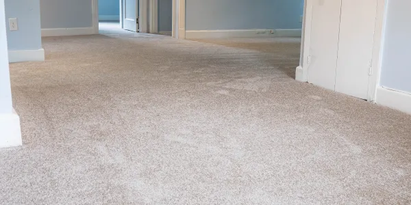 Image of Fit and Finish