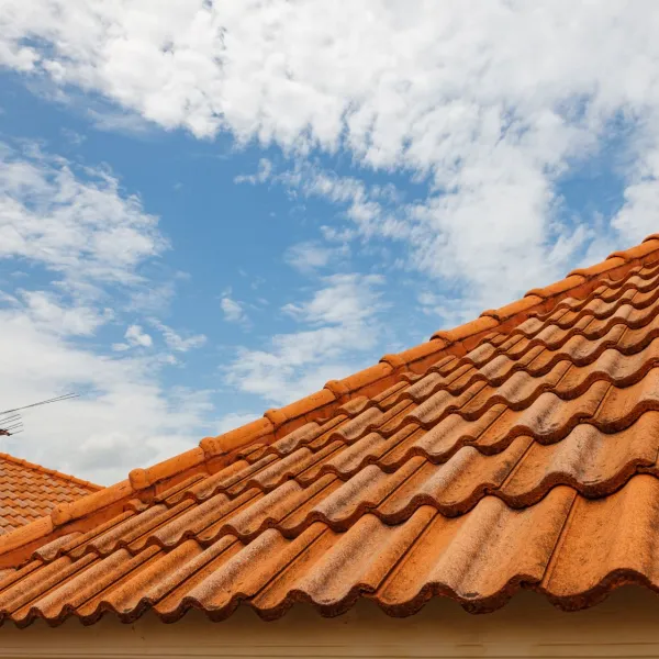 the roof of a building