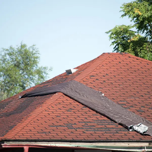 Roof with torn shingles exposing underlayment, surrounded by trees and a clear blue sky.