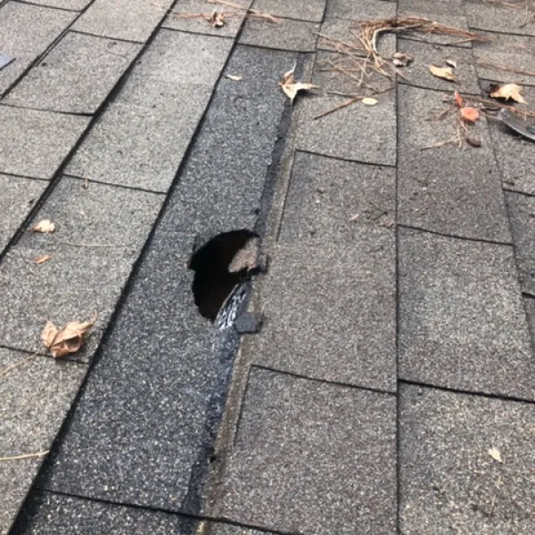 a group of shoes on the sidewalk