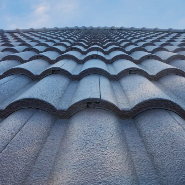 the roof of a building