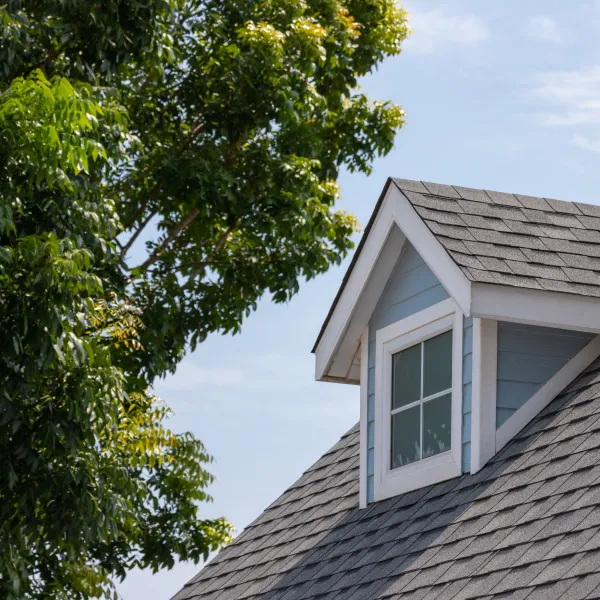 the roof of a house