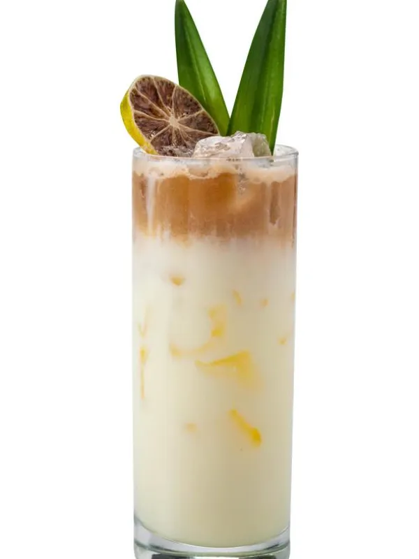 an image involving cup plant food