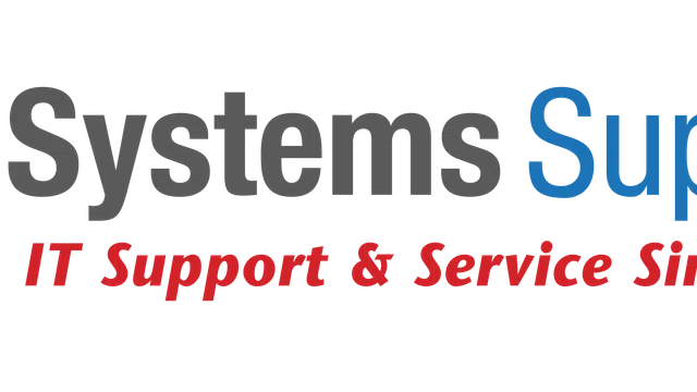 Systems Support company logo with blue and gray dotted globe icon on transparent background