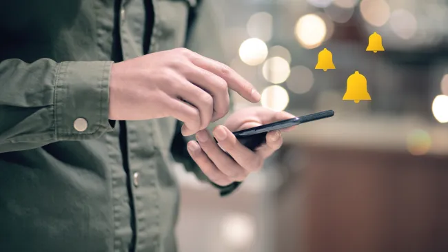 a person holding a phone