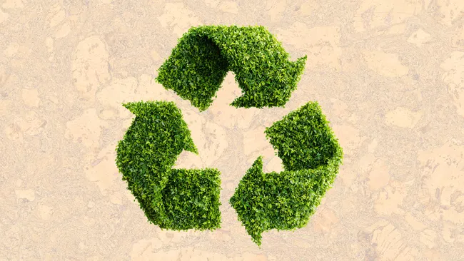 Green recycling symbol made of trimmed bushes on a sandy textured background