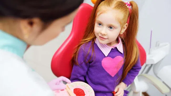 Young girl with red hair learning about dental care from a female dentist holding a mouth model.