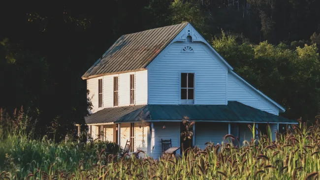 a house in the woods