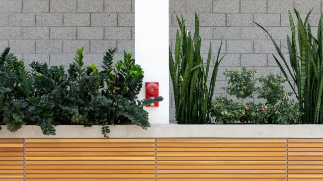 a group of plants on a window sill
