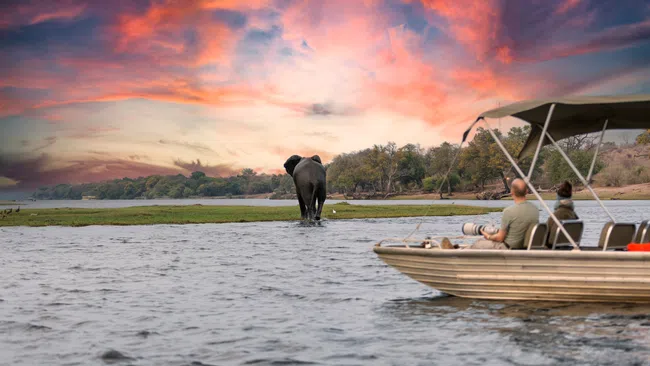 Tourists on a boat watching an elephant near a riverbank at sunset with vibrant orange and purple clouds.