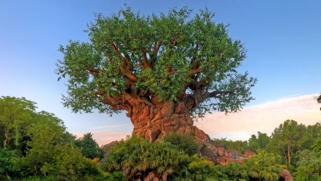 Large baobab-inspired Tree of Life surrounded by greenery with its reflection on still water under blue sky.