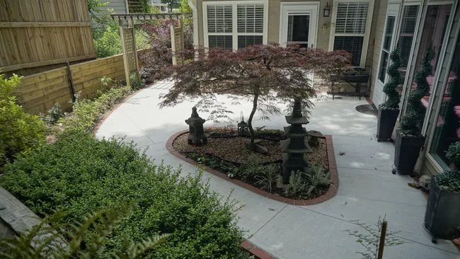 Modern backyard patio with a Japanese maple tree, stone lanterns, and trimmed shrubs around a concrete walkway.