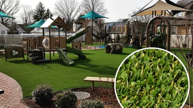 a backyard with a large green lawn